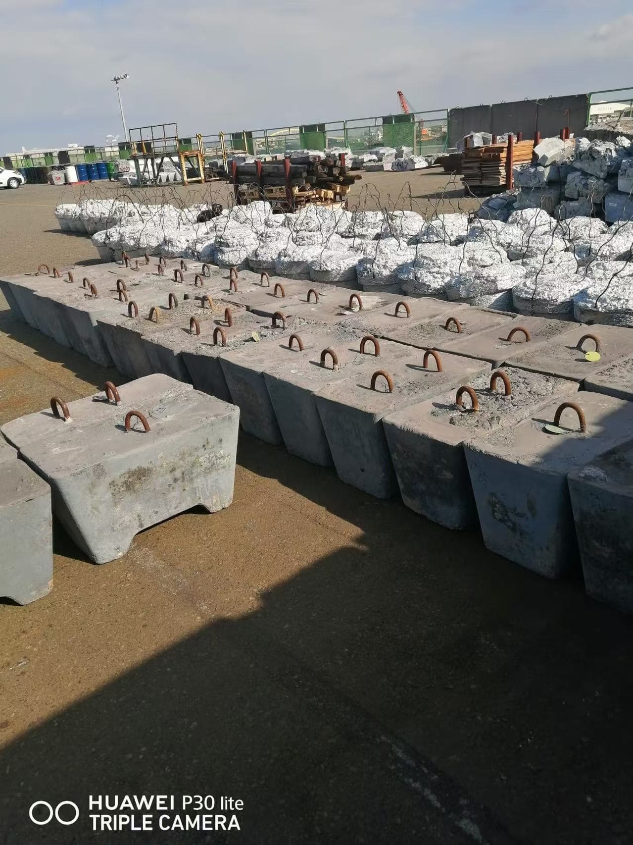Zinc Sows ex Japan 2